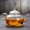 33.8 oz / 1 Liter Borosilicate Glass Teapot with Removable Filter Infuser