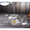 33.8 oz / 1 Liter Borosilicate Glass Teapot with Removable Filter Infuser