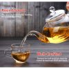 33.8 oz / 1 Liter Borosilicate Glass Teapot with Removable Filter Infuser