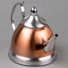 Stainless Steel Teapot in Copper Finish