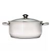 Stainless Steel Dutch Oven with Glass Lid