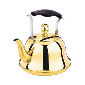 Whistling Kettle: Elegant Design, Efficient Boiling (Color: Titanium)